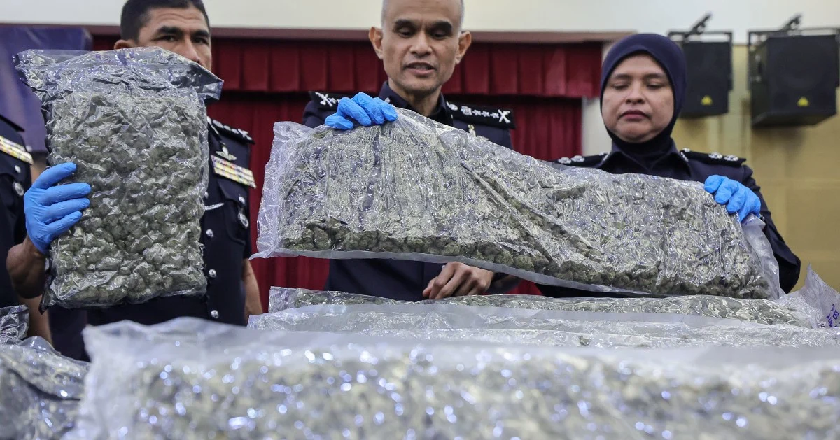 Police Bust Major Cannabis Smuggling Ring at KLIA, Arrest 38 in Year-Long Crackdown