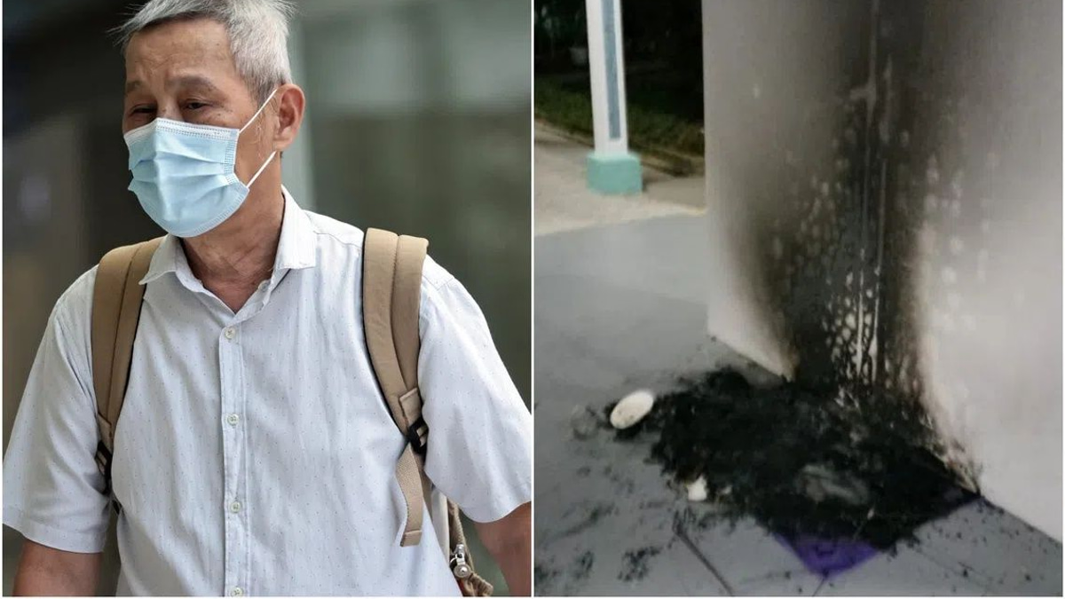 Singapore Man Jailed Three Months for Burning Community Cat Houses in Protest