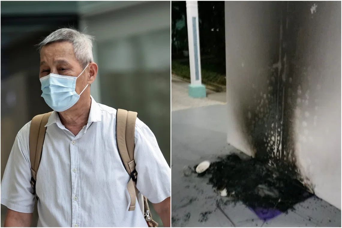 Singapore Man Jailed Three Months for Burning Community Cat Houses in Protest