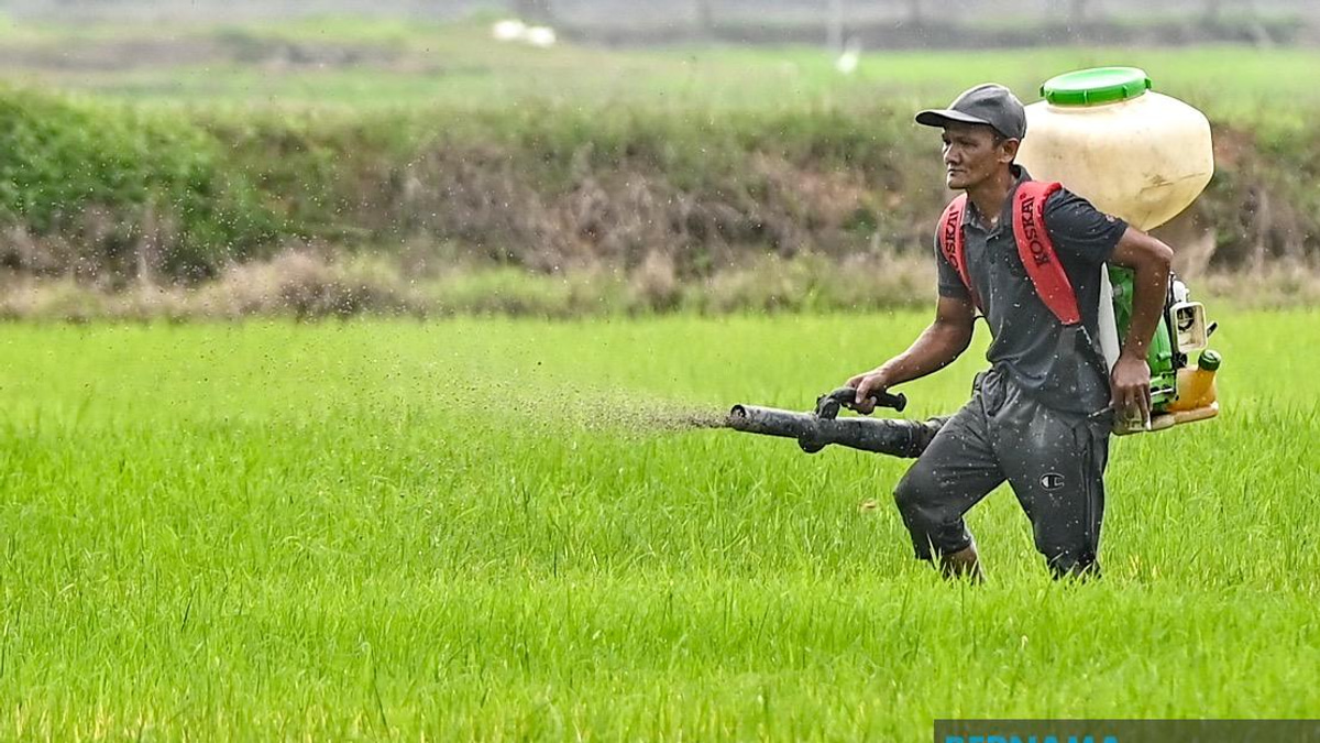 Kelantan Invests RM3.64 Million in Agriculture Drive Spanning Crops, Livestock and Fisheries