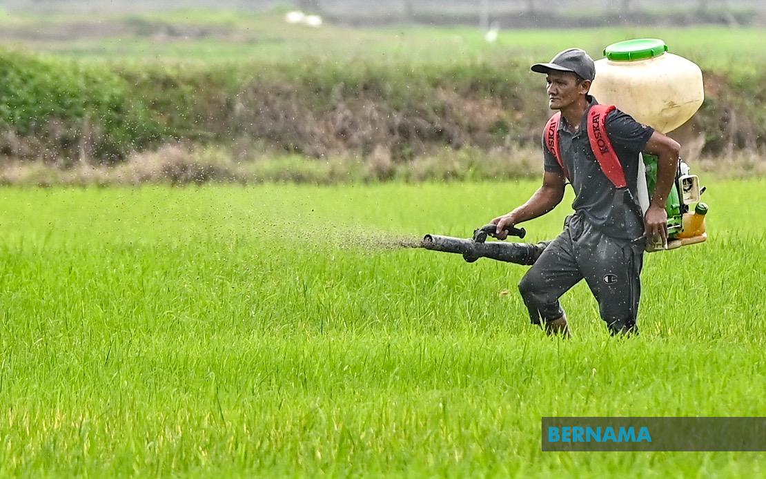 Kelantan Invests RM3.64 Million in Agriculture Drive Spanning Crops, Livestock and Fisheries