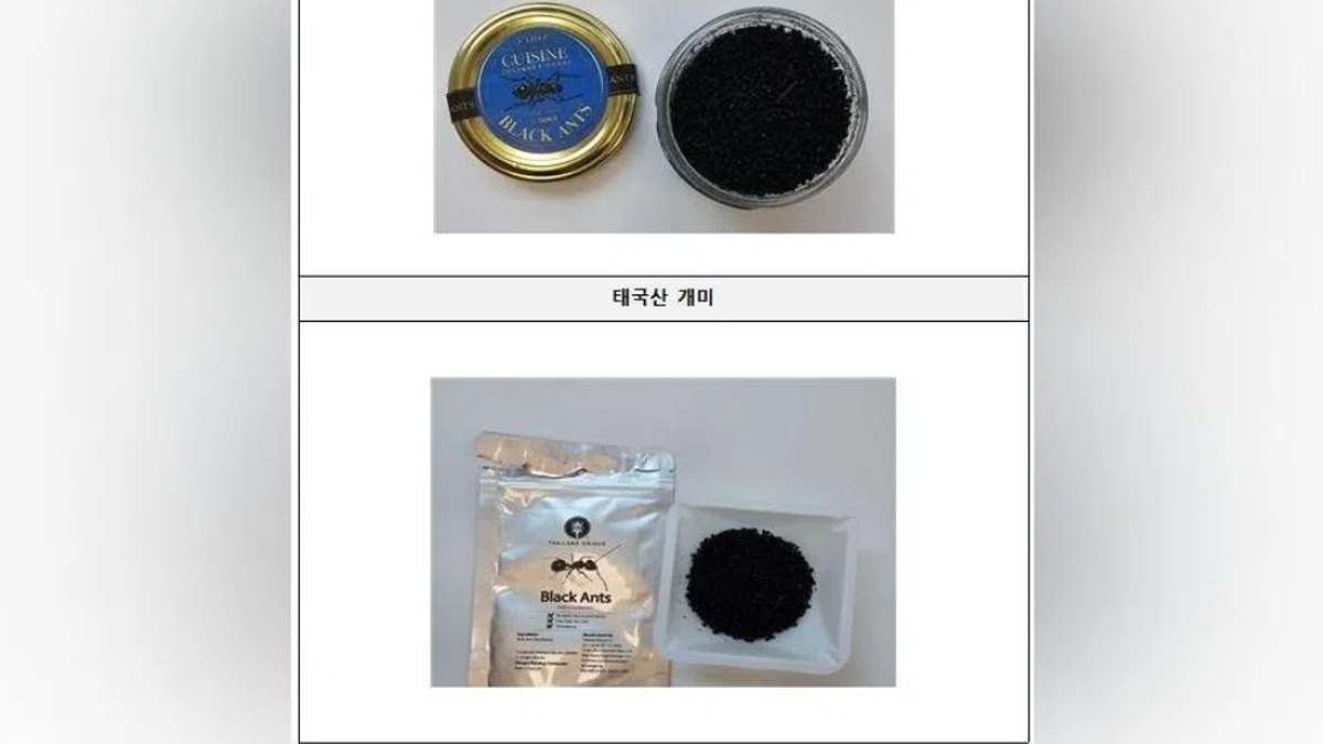 South Korean Michelin Chef Faces Prison for Serving Illegal Black Ants on Sorbet