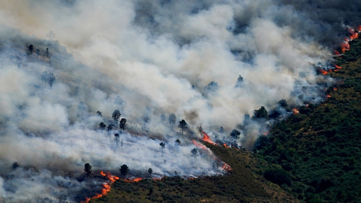 Spain Evacuates Nearly 60,000 as Wildfires Engulf Madrid Region
