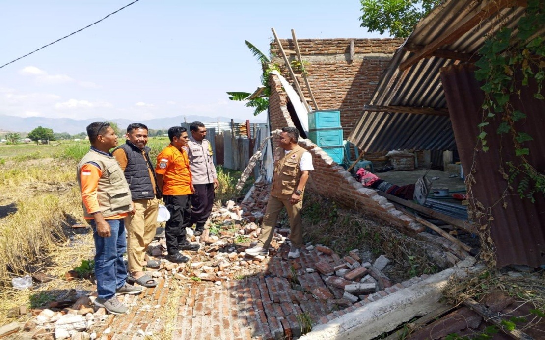 Death Toll Reaches 38 as Indonesia's Flores Earthquake Rescue Efforts Intensify