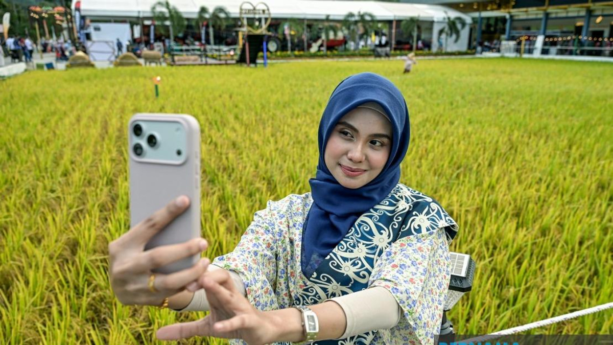 Malaysia Book of Records Recognises MAHA 2026 Laman Padi's Landmark Paddy Art Installation