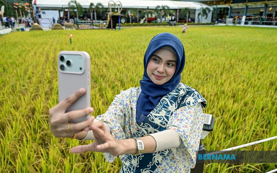 Malaysia Book of Records Recognises MAHA 2026 Laman Padi's Landmark Paddy Art Installation