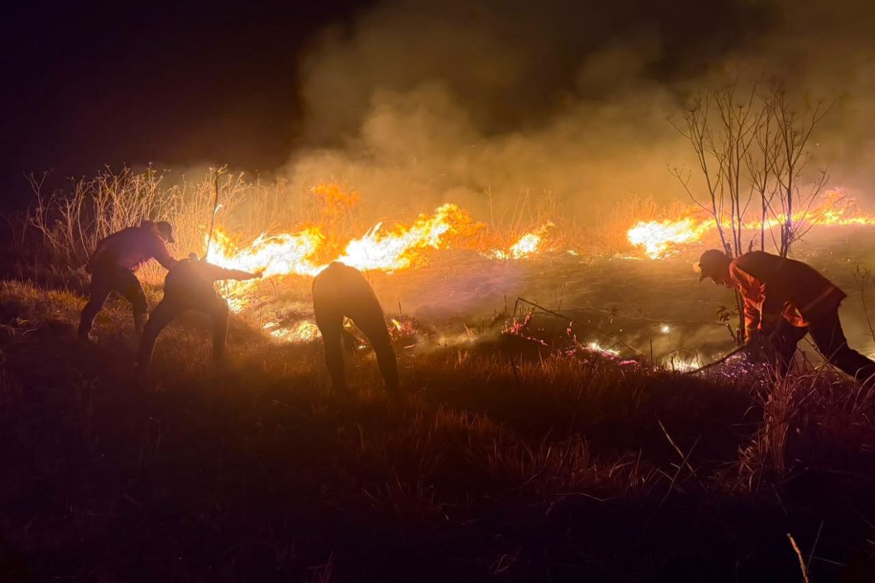 Mount Bromo wildfire expands to 520 hectares as winds intensify blaze across East Java slopes