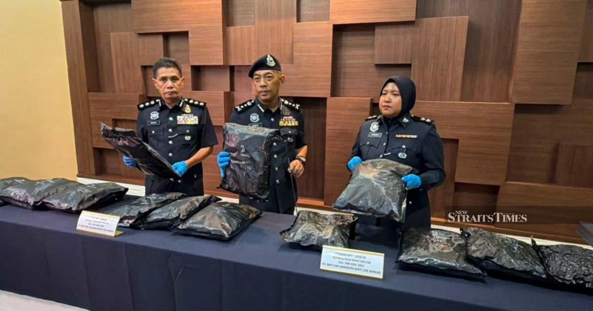 Student Drug Smuggler Nabbed with Cannabis Worth RM1.17 Million at Bukit Kayu Hitam Border