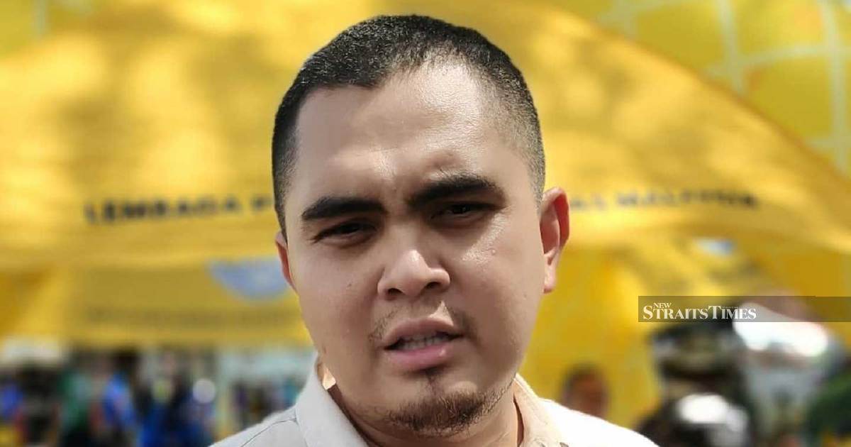 Strategic Voting Framework Could Reshape Johor Election as Umno Youth Backs Pas Alliance Proposal