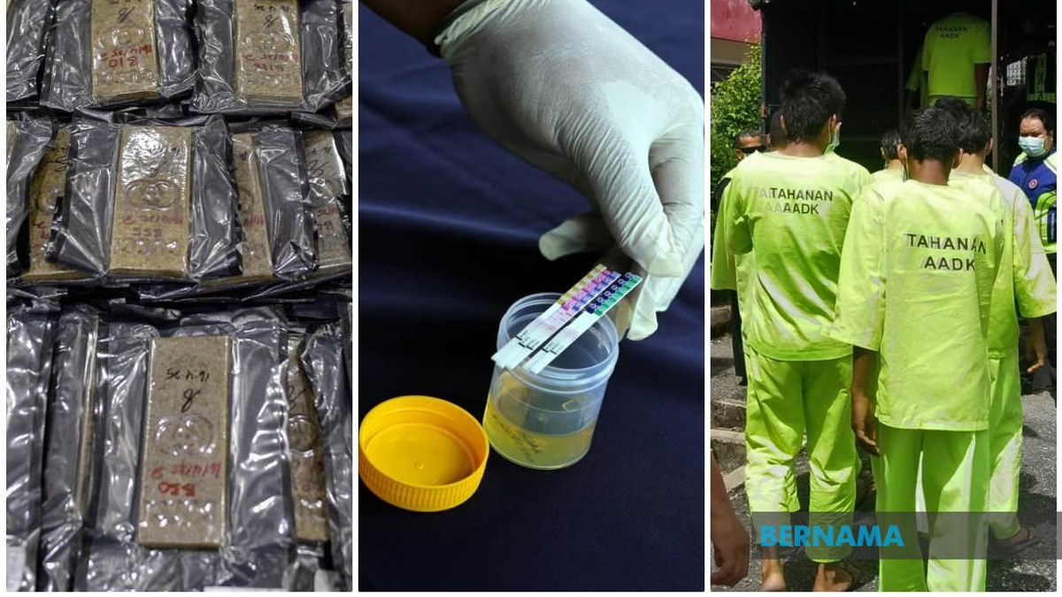 Synthetic Drug Crisis Deepens: 141,817 Cases Recorded as Fentanyl Emerges as New Threat