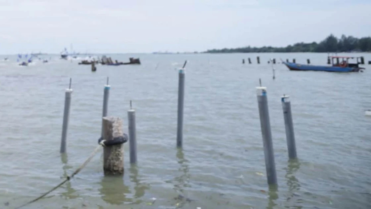 Sungai Rengit traders seek infrastructure relief after years of temporary conditions