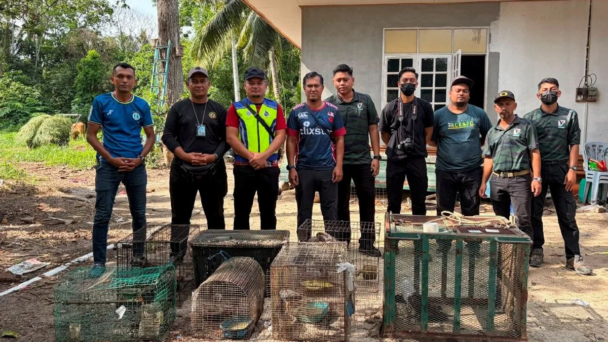 Teen Detained With Nearly RM50,000 In Endangered Wildlife In Kelantan Bust