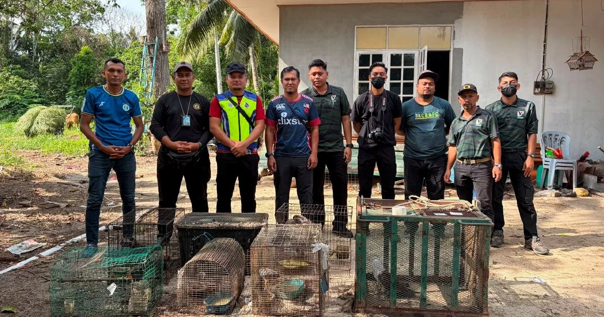 Teen Detained With Nearly RM50,000 In Endangered Wildlife In Kelantan Bust
