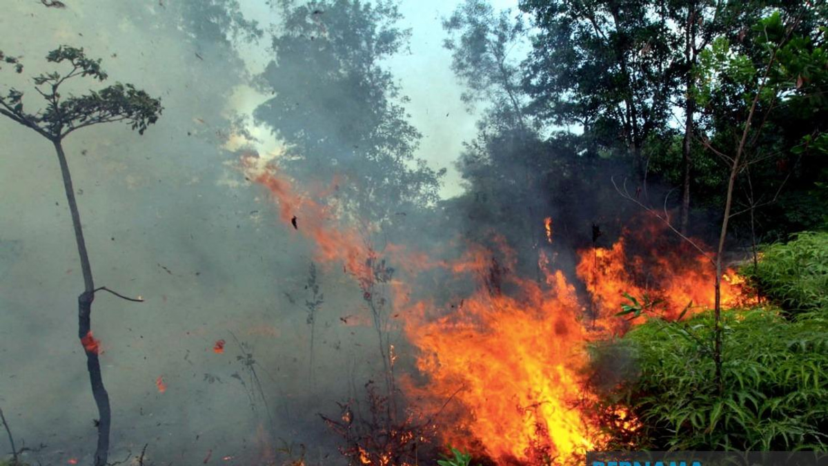 Sabah Issues Open Burning Ban As Indonesian Haze Blankets Northern Borneo