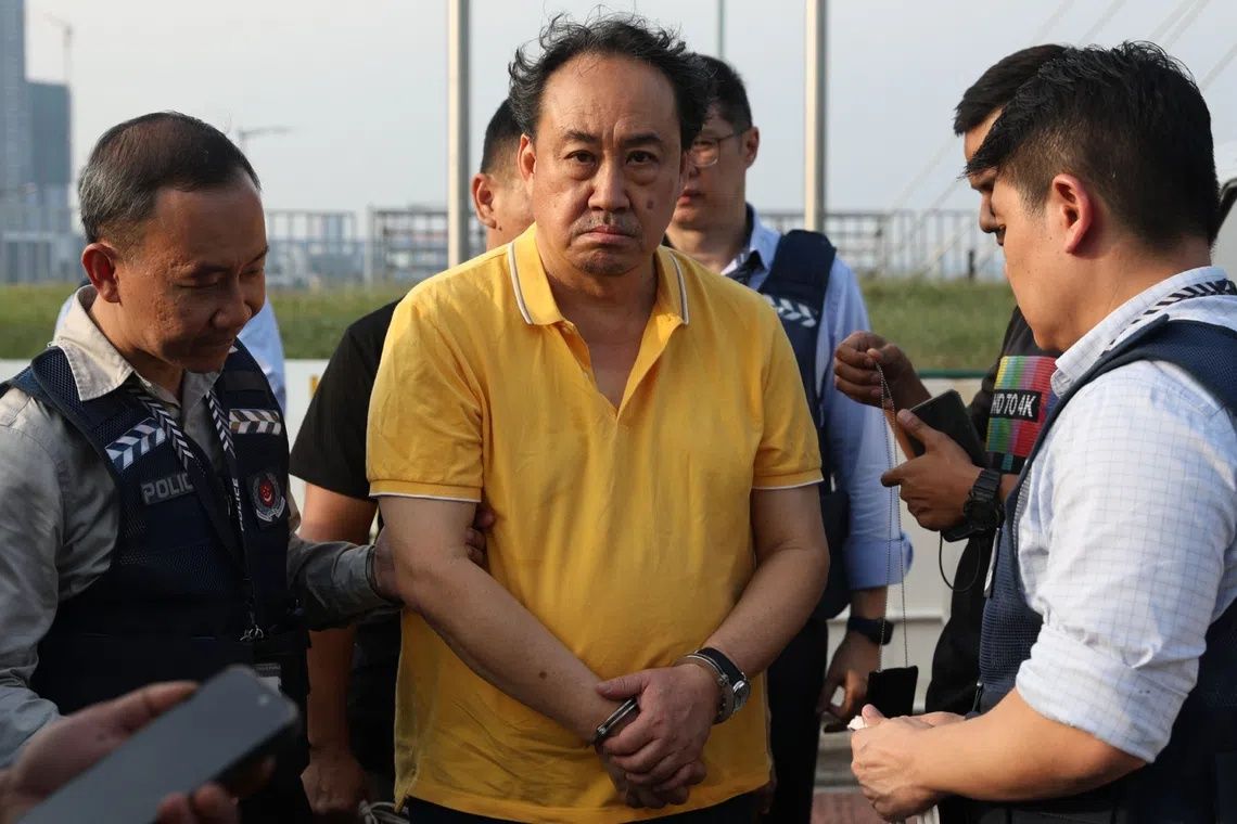 Lawyer Lim Tean deported to Singapore after arrest in Johor for failing to surrender for jail term