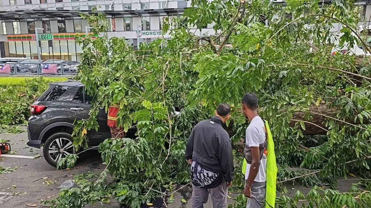 Three Family Members Injured After Tree Crashes Into Car on Penang Street