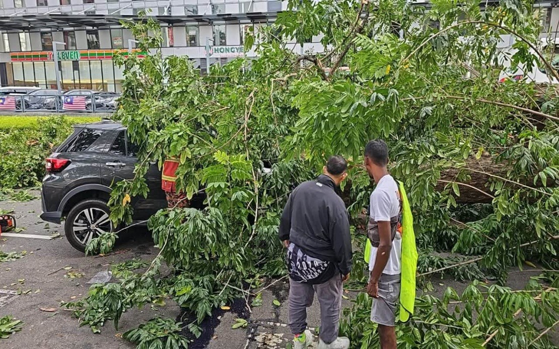 Three Family Members Injured After Tree Crashes Into Car on Penang Street