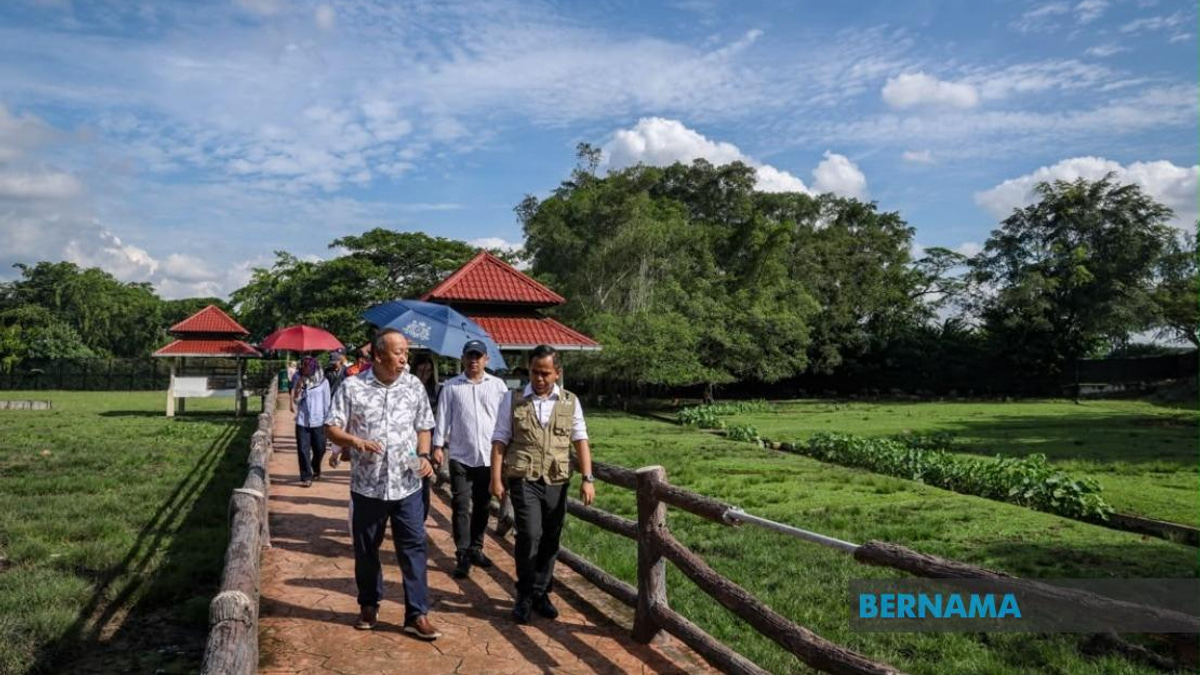 Sabah UMNO Deploys Ground Machine to Support BN in Johor's Permas and Johor Jaya Seats