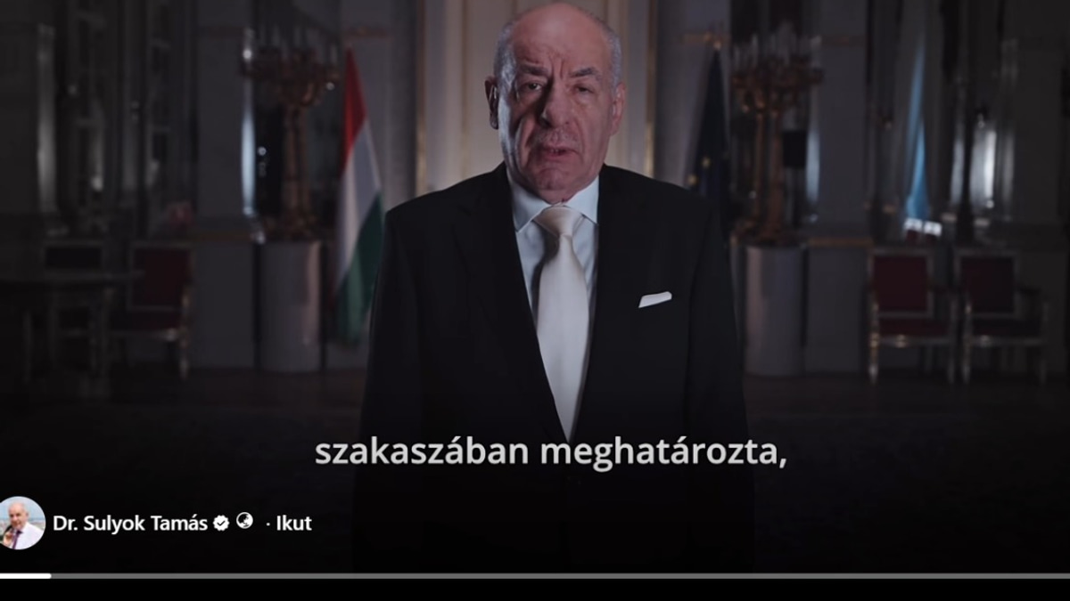 Hungarian President Steps Down After Constitutional Amendment Forces His Exit