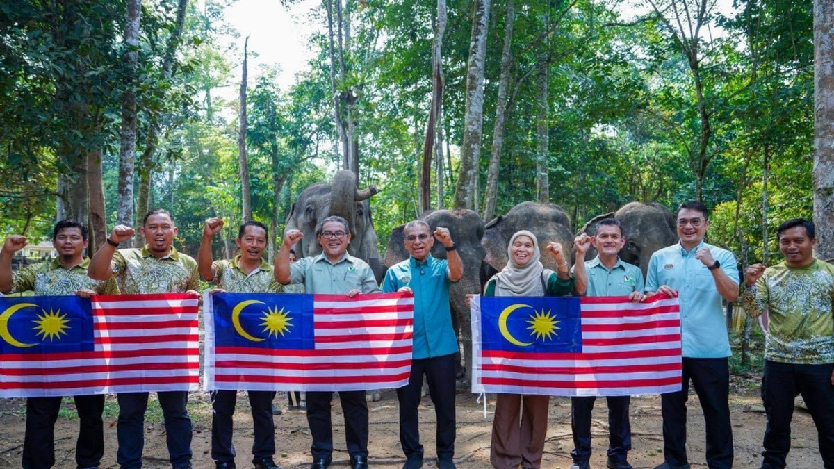 Malaysia's Wildlife Ministry Seeks Fresh Strategies to Manage Growing Human-Animal Encounters