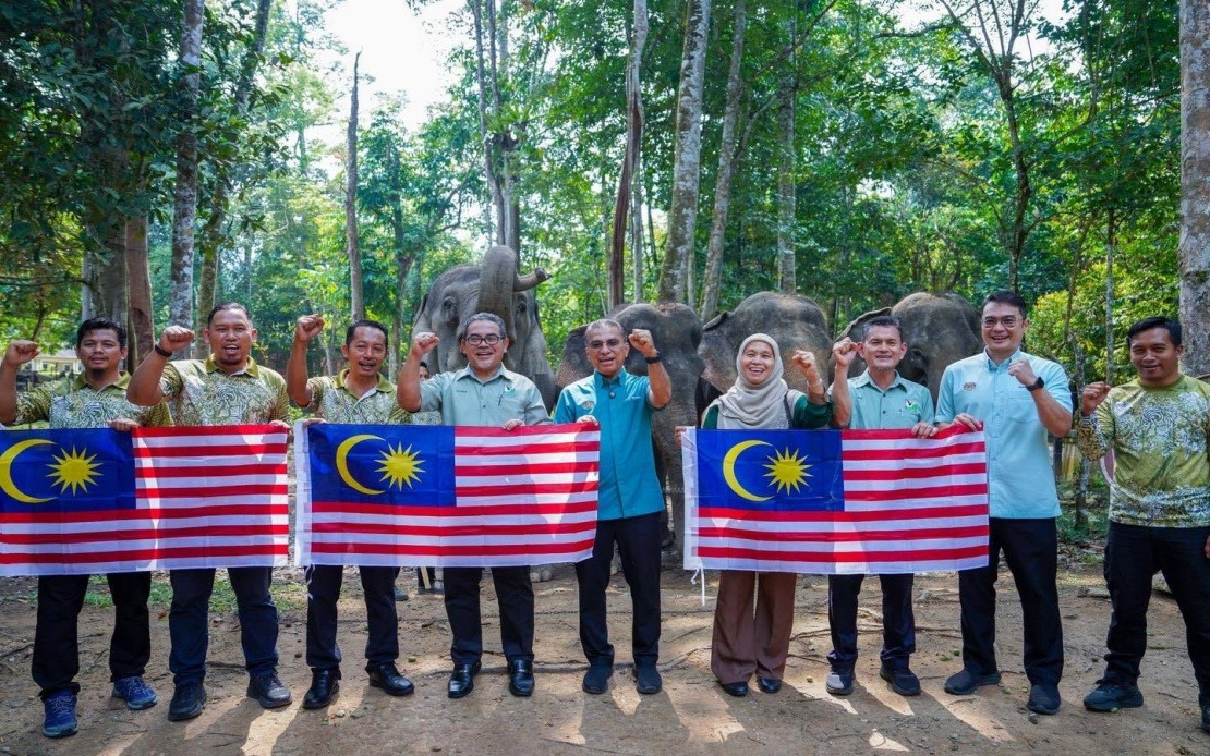 Malaysia's Wildlife Ministry Seeks Fresh Strategies to Manage Growing Human-Animal Encounters