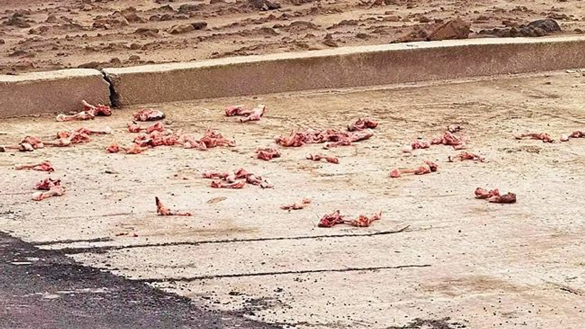 Malaysian fined BN$300 for illegal food waste dumping in Brunei