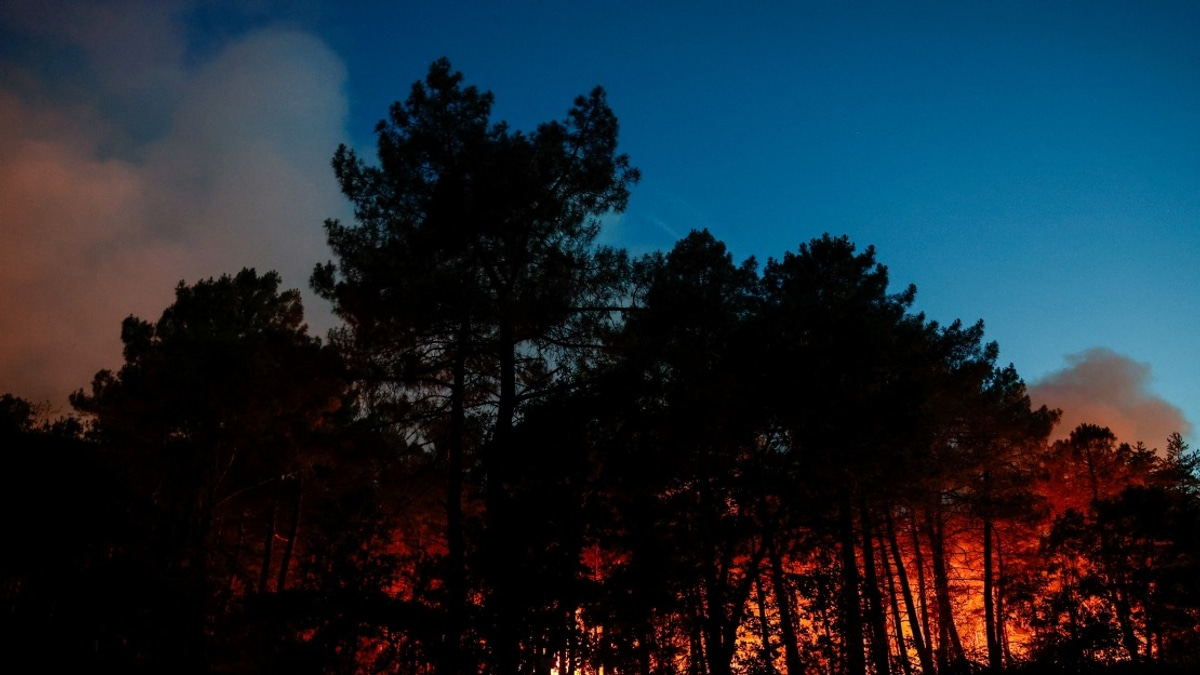Major Wildfire Destroys 800 Hectares in Historic Fontainebleau Forest Near Paris