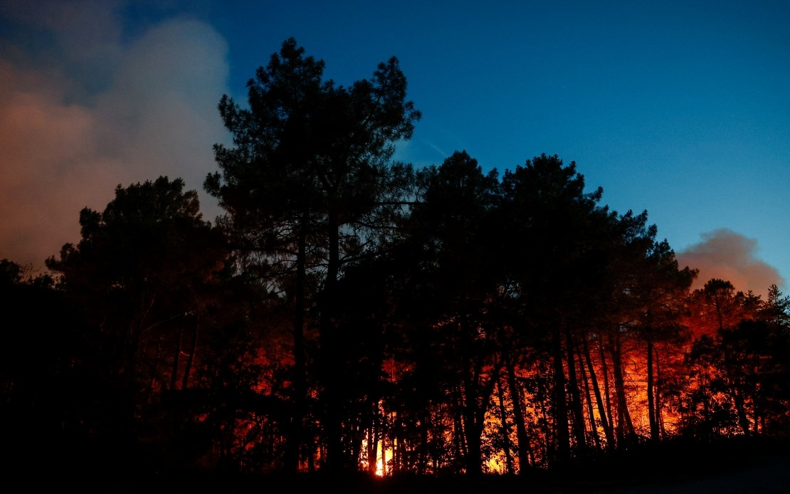 Major Wildfire Destroys 800 Hectares in Historic Fontainebleau Forest Near Paris