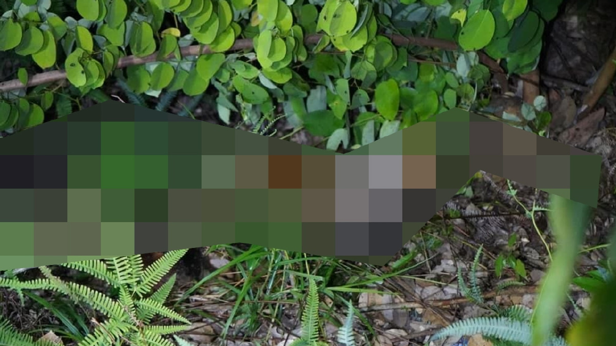 Ten-year-old girl found dead after weeks missing in Sabah; two men arrested