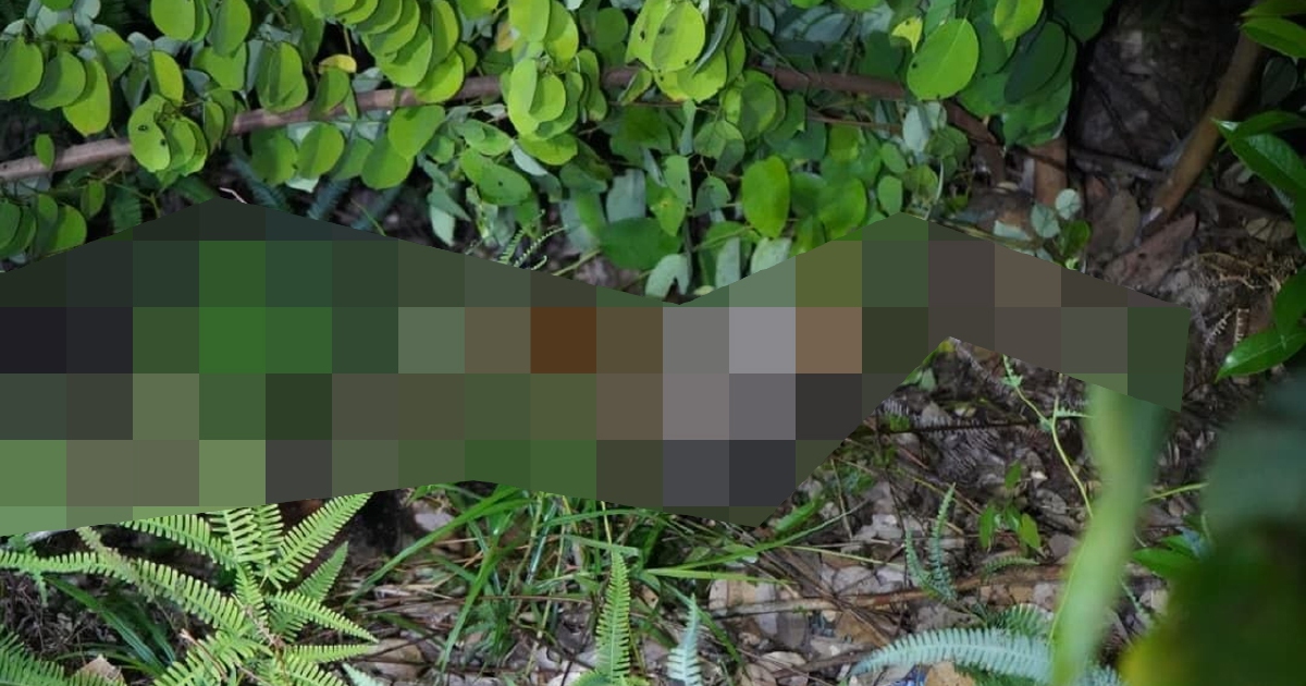 Ten-year-old girl found dead after weeks missing in Sabah; two men arrested