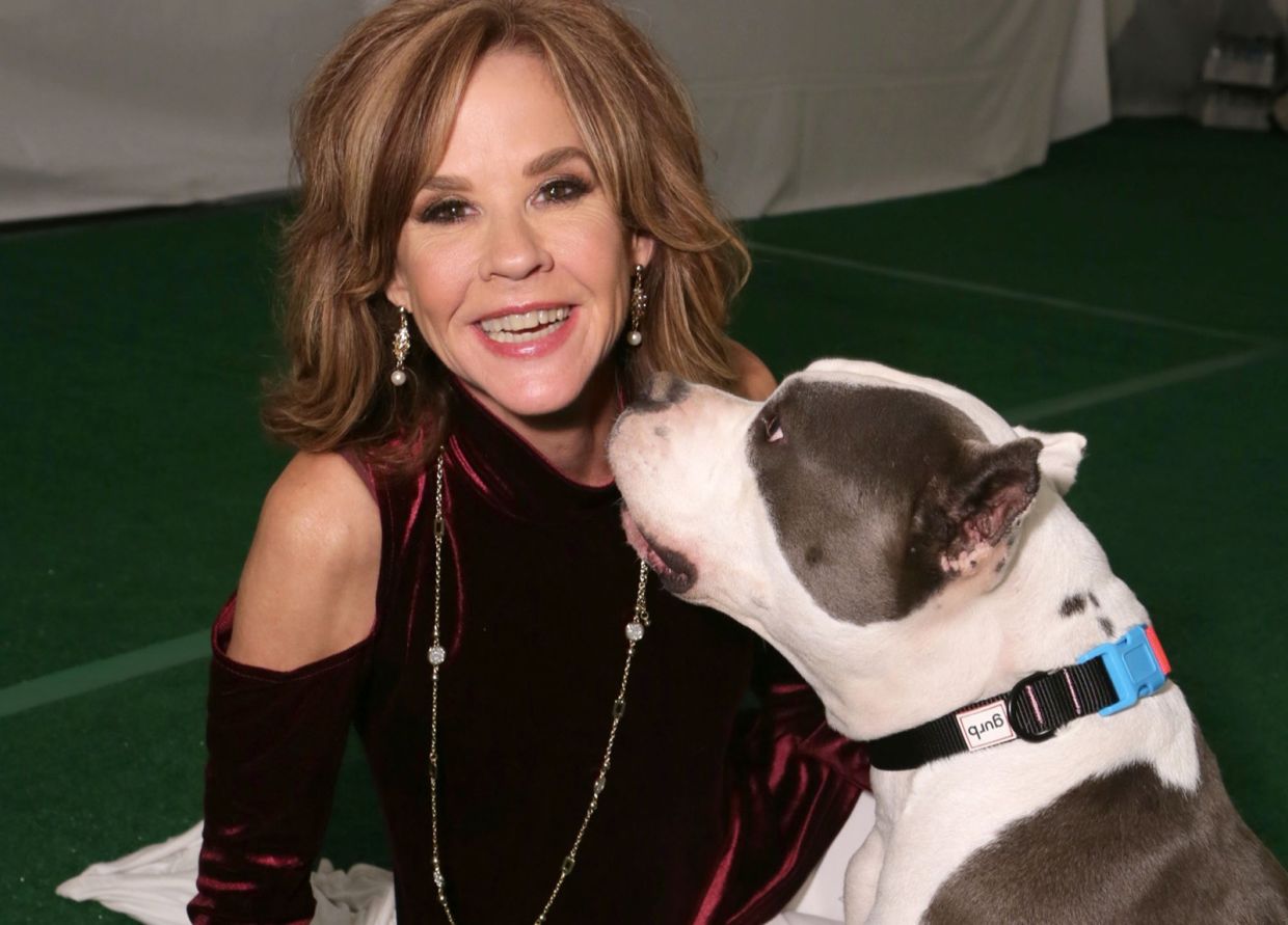 California authorities raid actress Linda Blair's property over unlicensed kennel housing 100 rescue dogs