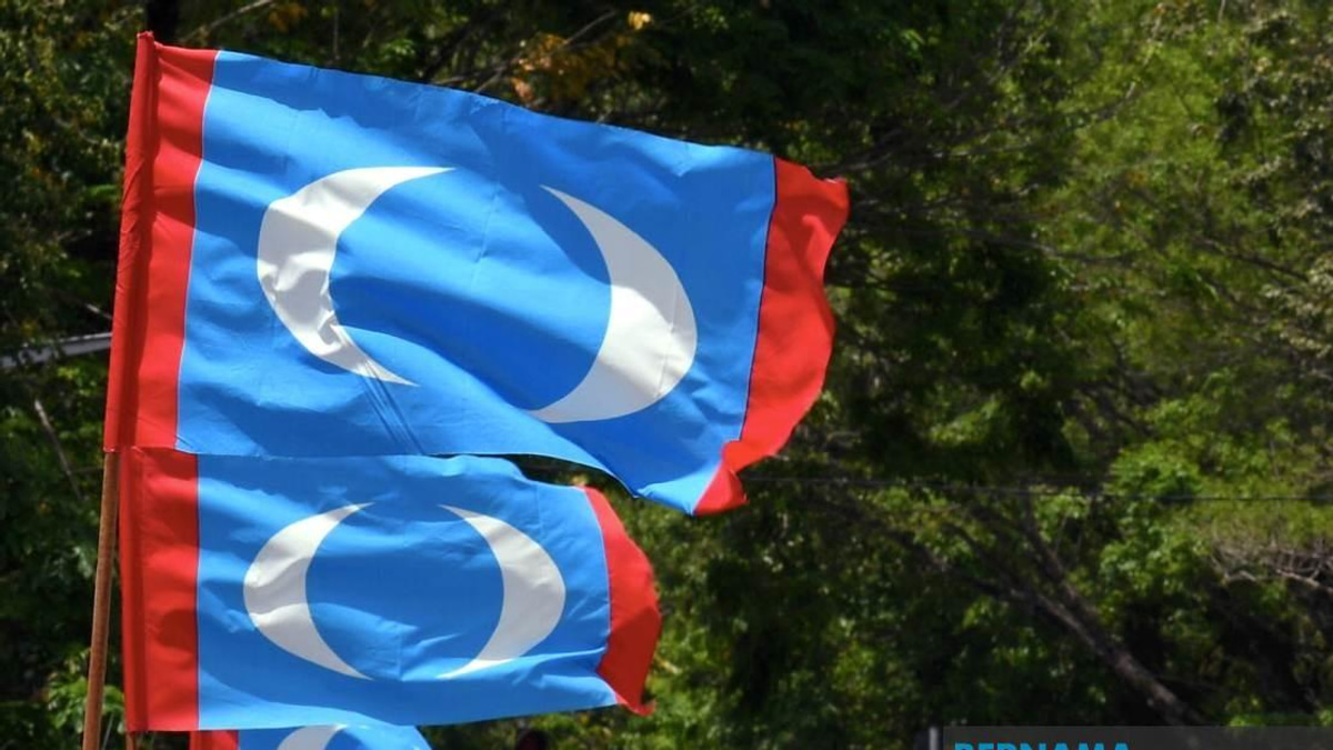 PKR Needs Honest Self-Examination, Not Voter Blame, Says Youth Wing Chief