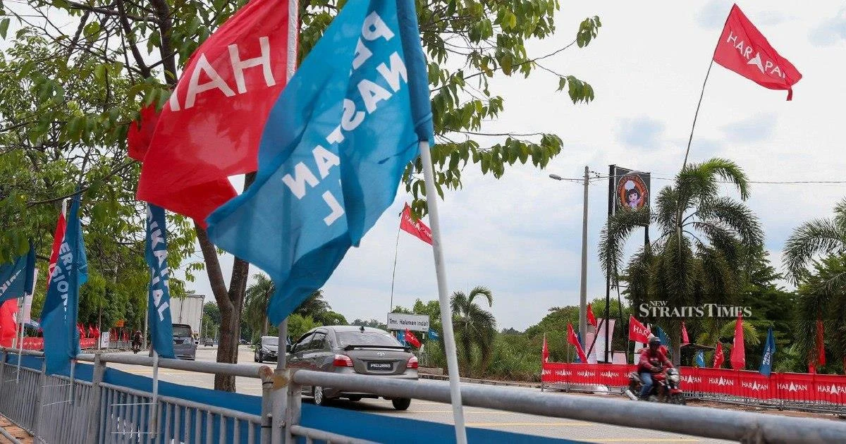 Johor's 56 constituencies officially enter campaign mode as nomination day opens state election race