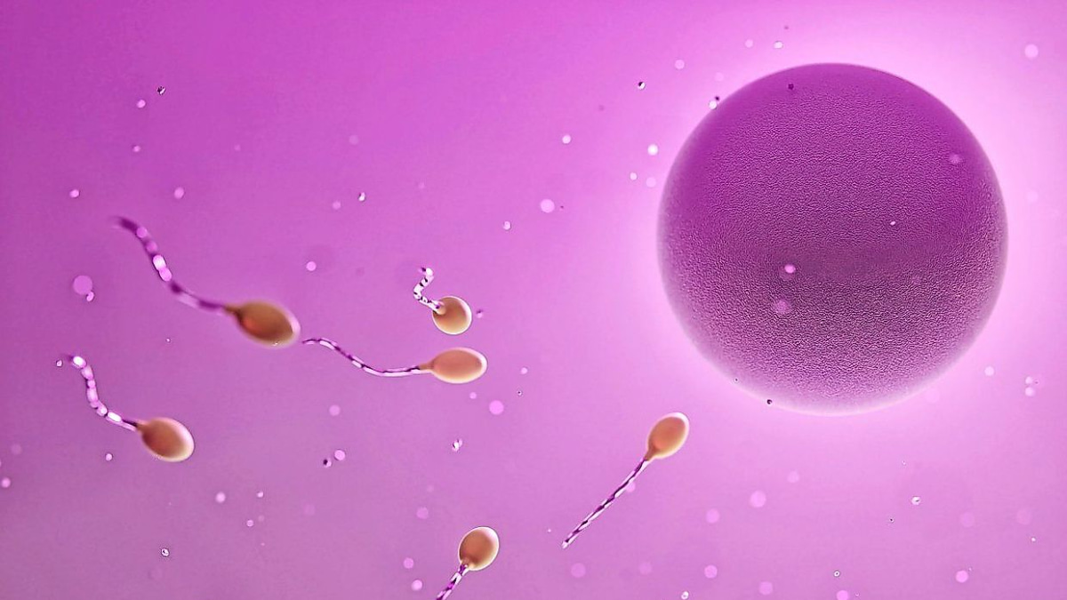 Understanding Ovulation Disorders and Fertility Treatments: A Guide to Hormone-Regulating Medications