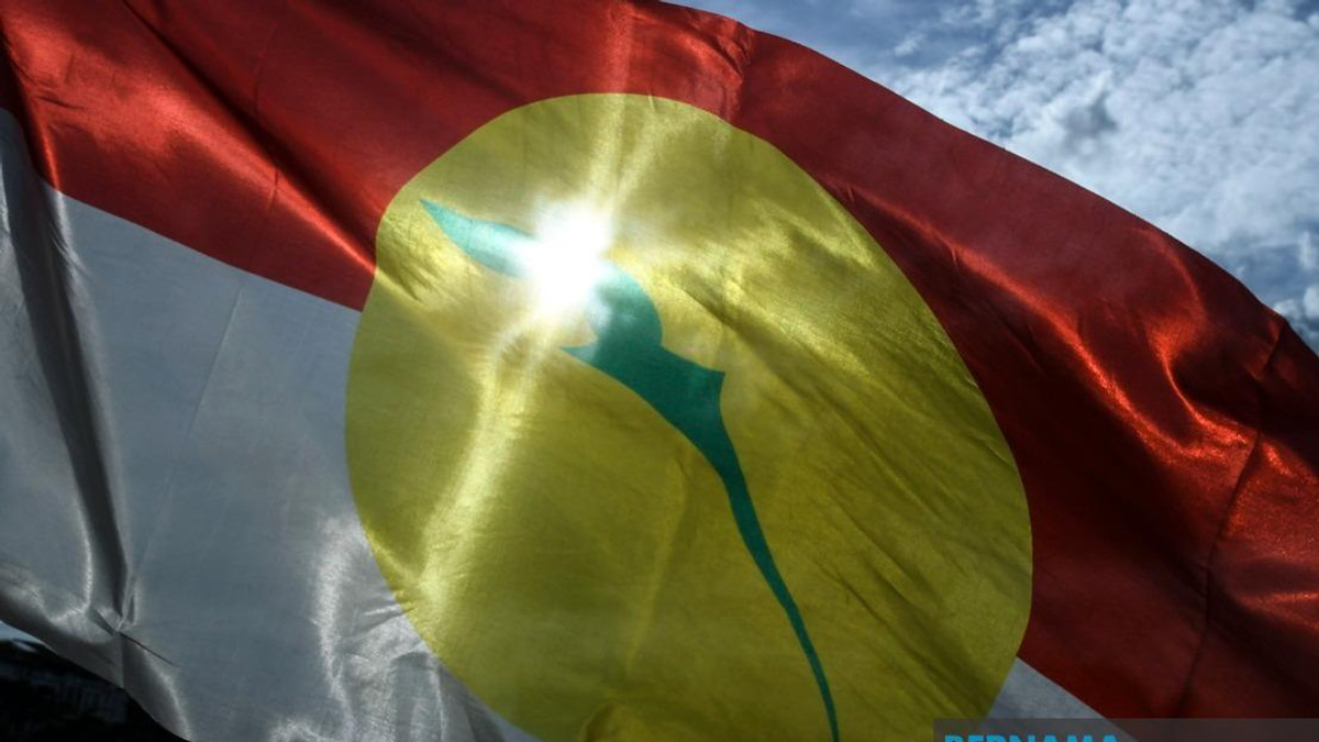 UMNO Unity Push as Party Navigates Johor Election Tensions