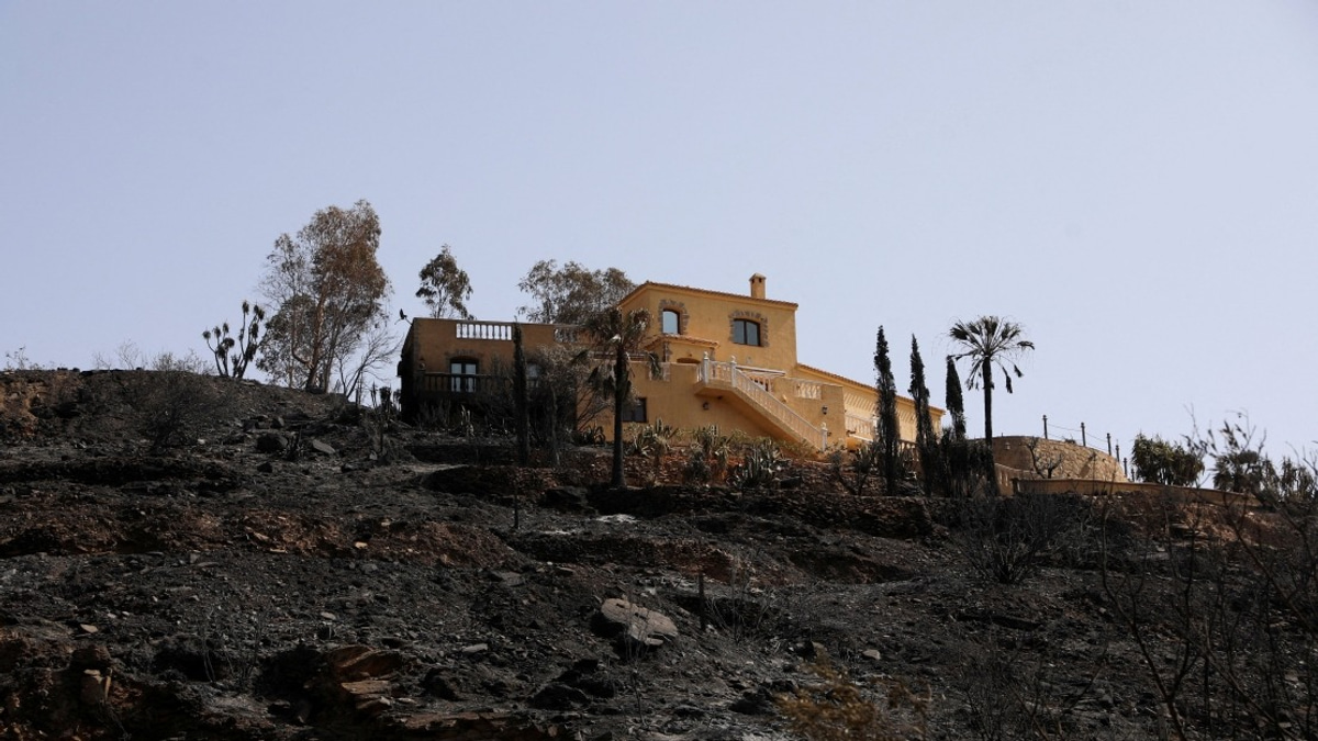 Death Toll From Southern Spain Wildfire Climbs to 13 as Fire Contained