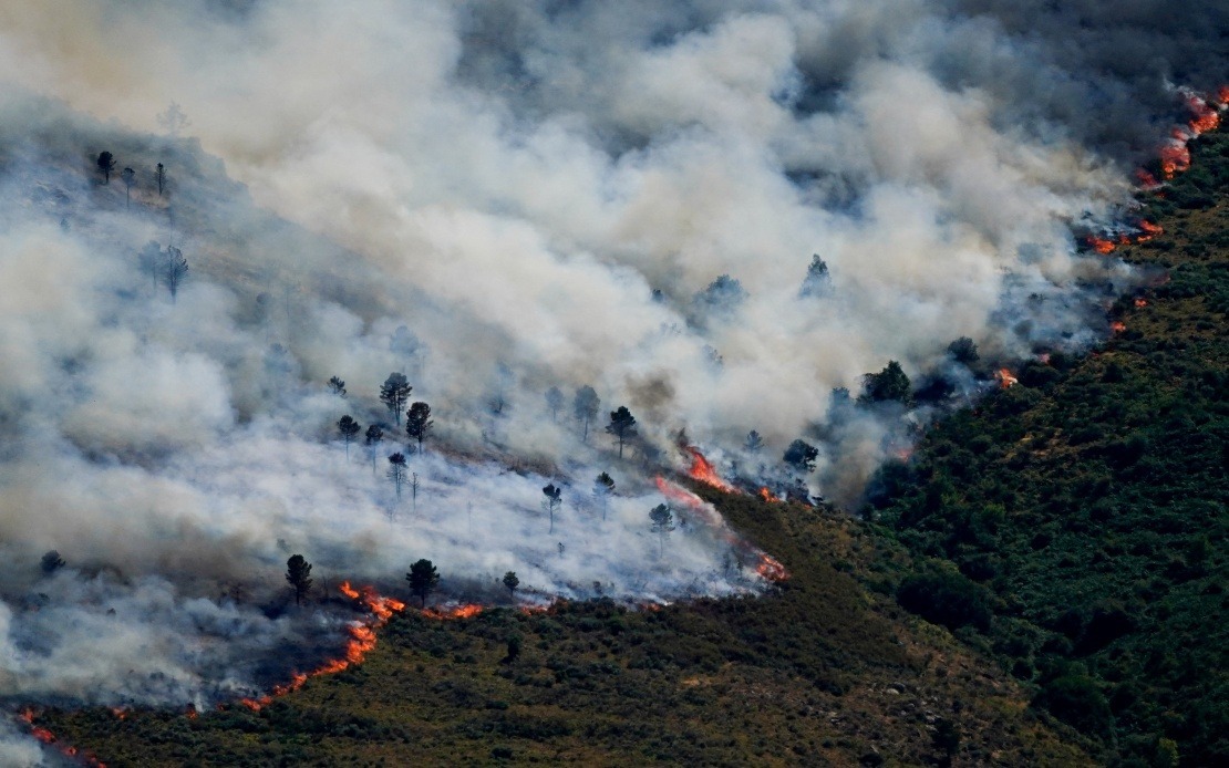 Spain's Valencia Region Evacuates 1,000 As Lightning-Sparked Forest Fire Spreads