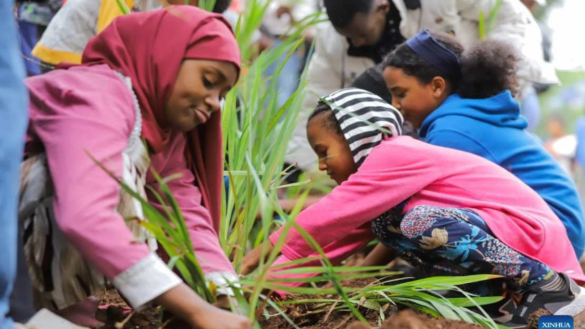 Ethiopia Plants 800 Million Trees in Record Single-Day Campaign