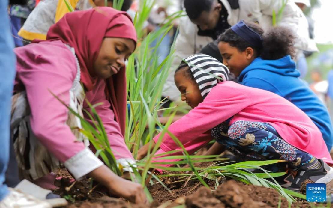Ethiopia Plants 800 Million Trees in Record Single-Day Campaign