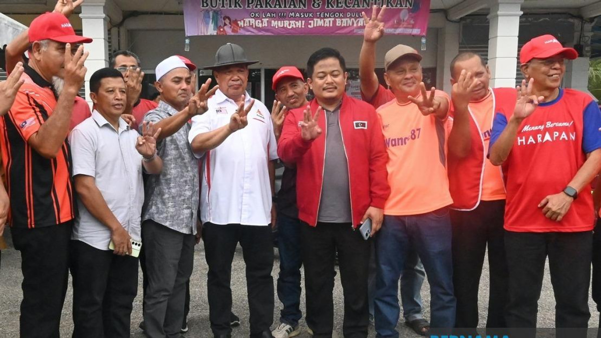 Johor Voters Must Back PH to Prove Manifesto Works, Says Mohamad Sabu