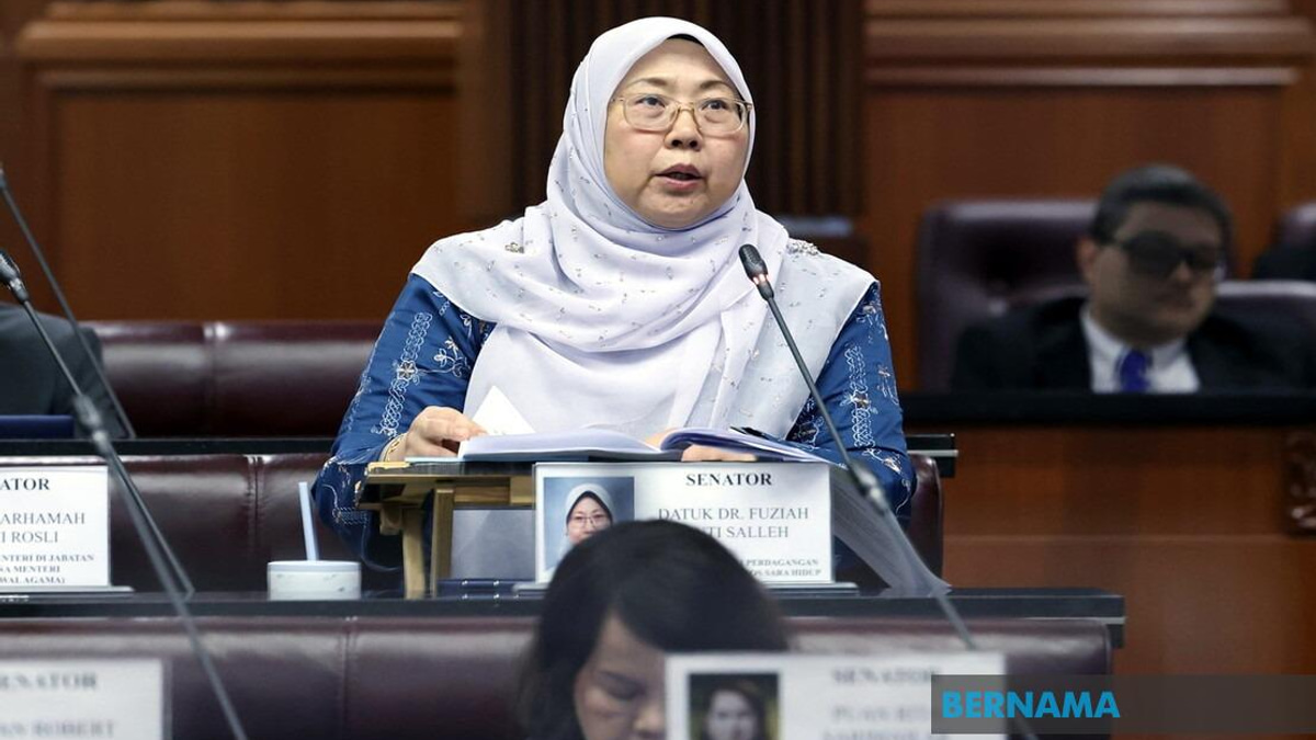 Senate Approves Competition Bill to Combat Cartels and Market Monopolies