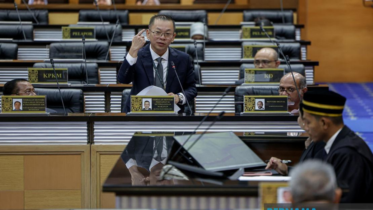 Rice Act enforcement will spare farmers, targets supply chain players—Chan