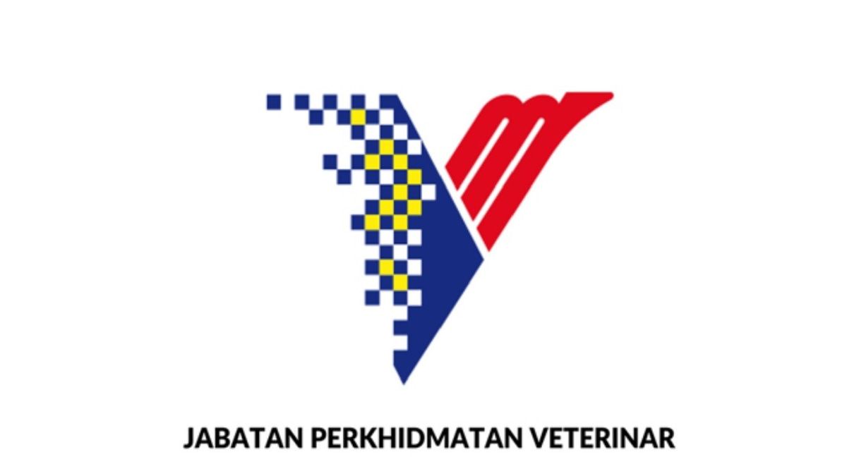 DVS Warns of Fraudulent Government Orders as Suppliers Targeted in Impersonation Scam