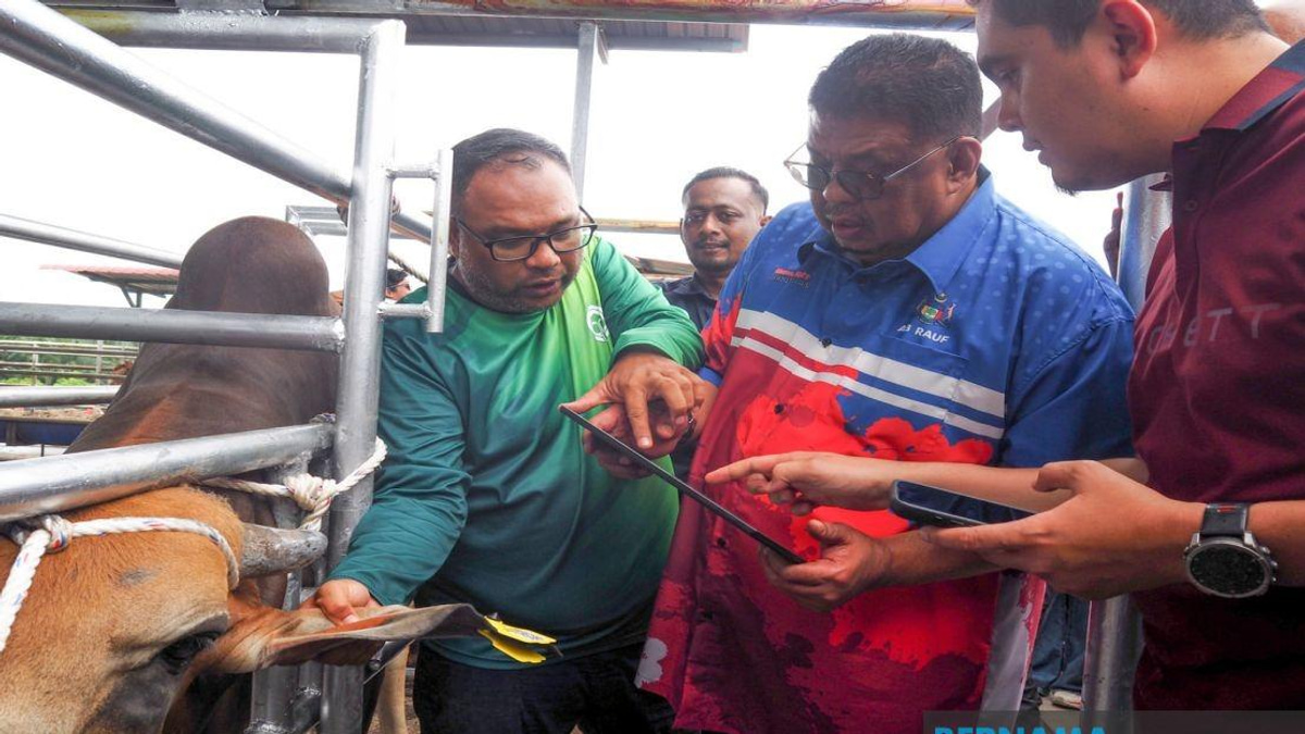 Melaka Deploys QR Tag System to Revolutionise Livestock Management and Owner Accountability