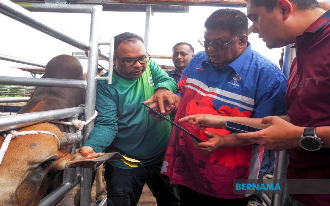 Melaka Deploys QR Tag System to Revolutionise Livestock Management and Owner Accountability