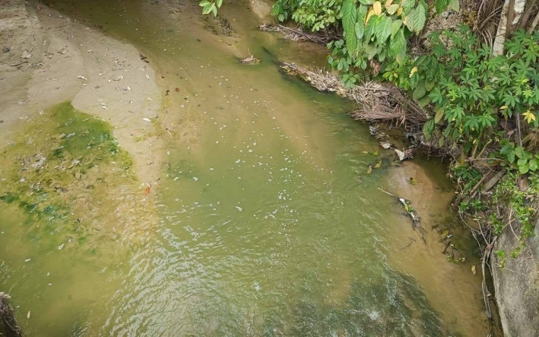 Negeri Sembilan's Pertang River Turns Green Due to Natural Algae Bloom, Not Pollution